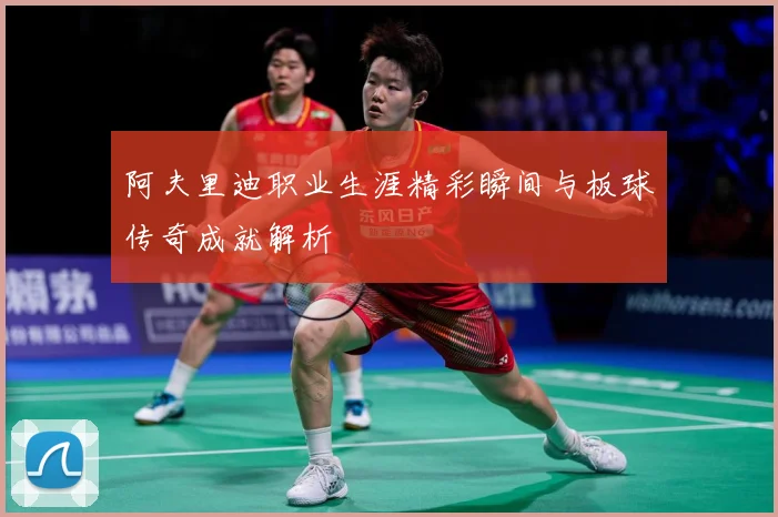 阿夫里迪职业生涯精彩瞬间与板球传奇成就解析