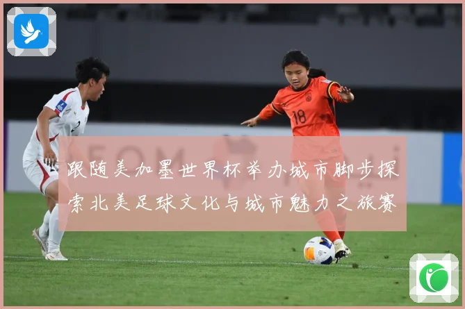 跟随美加墨世界杯举办城市脚步探索北美足球文化与城市魅力之旅赛事前瞻