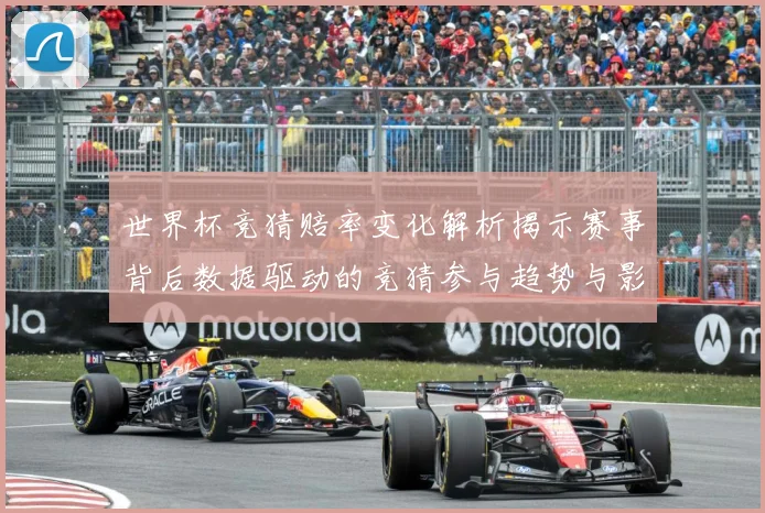 世界杯竞猜赔率变化解析揭示赛事背后数据驱动的竞猜参与趋势与影数据研判
