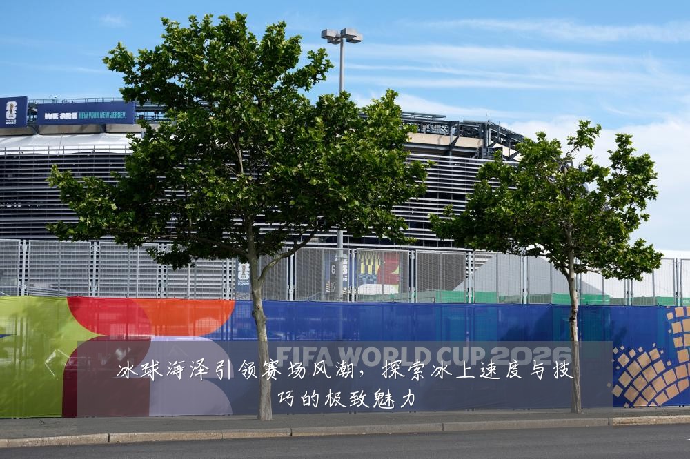 冰球海泽引领赛场风潮,探索冰上速度与技巧的极致魅力