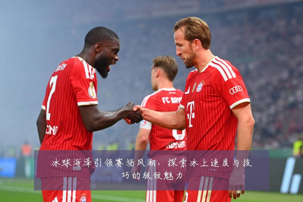 冰球海泽引领赛场风潮,探索冰上速度与技巧的极致魅力